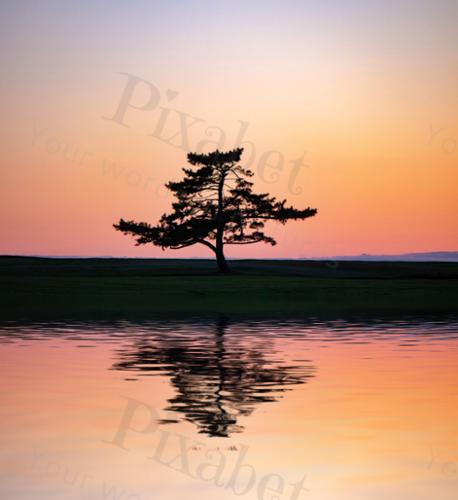 SAKONNET GOLF COURSE