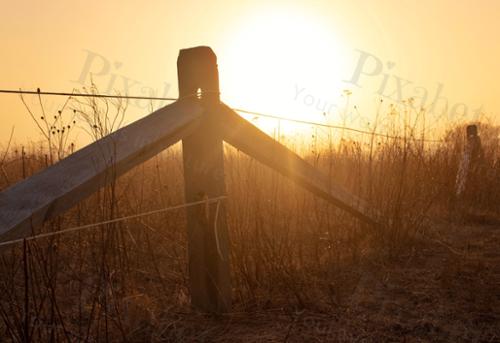 FENCE LIGHT 3