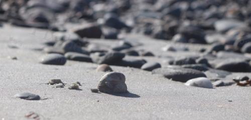 ROCKY COAST