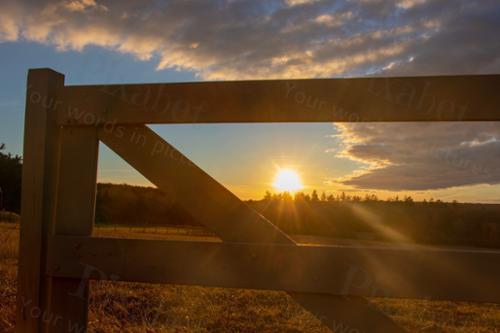 FENCE SUNSET