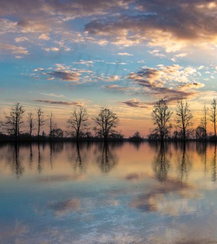 PASTEL REFLECTIONS