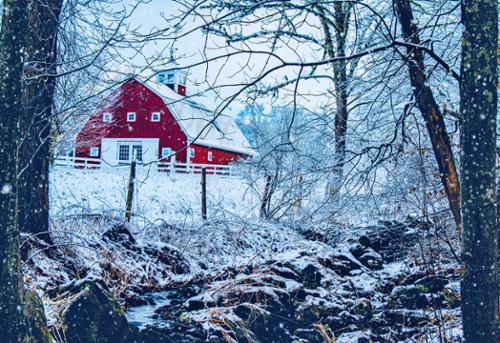 snow barn red