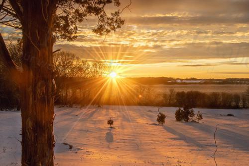 winter light