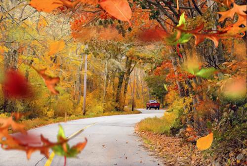 FALL ROADS