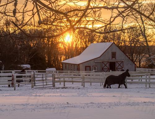 SNOW FARM SUNSET2