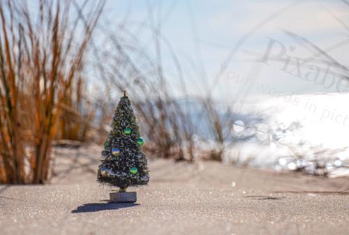 CHRISTMAS AT THE BEACH